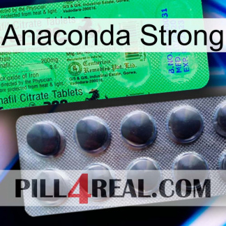 Anaconda Strong new04